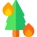 security,nature,fire,flame,woods,deforestation,arson,forest on fire